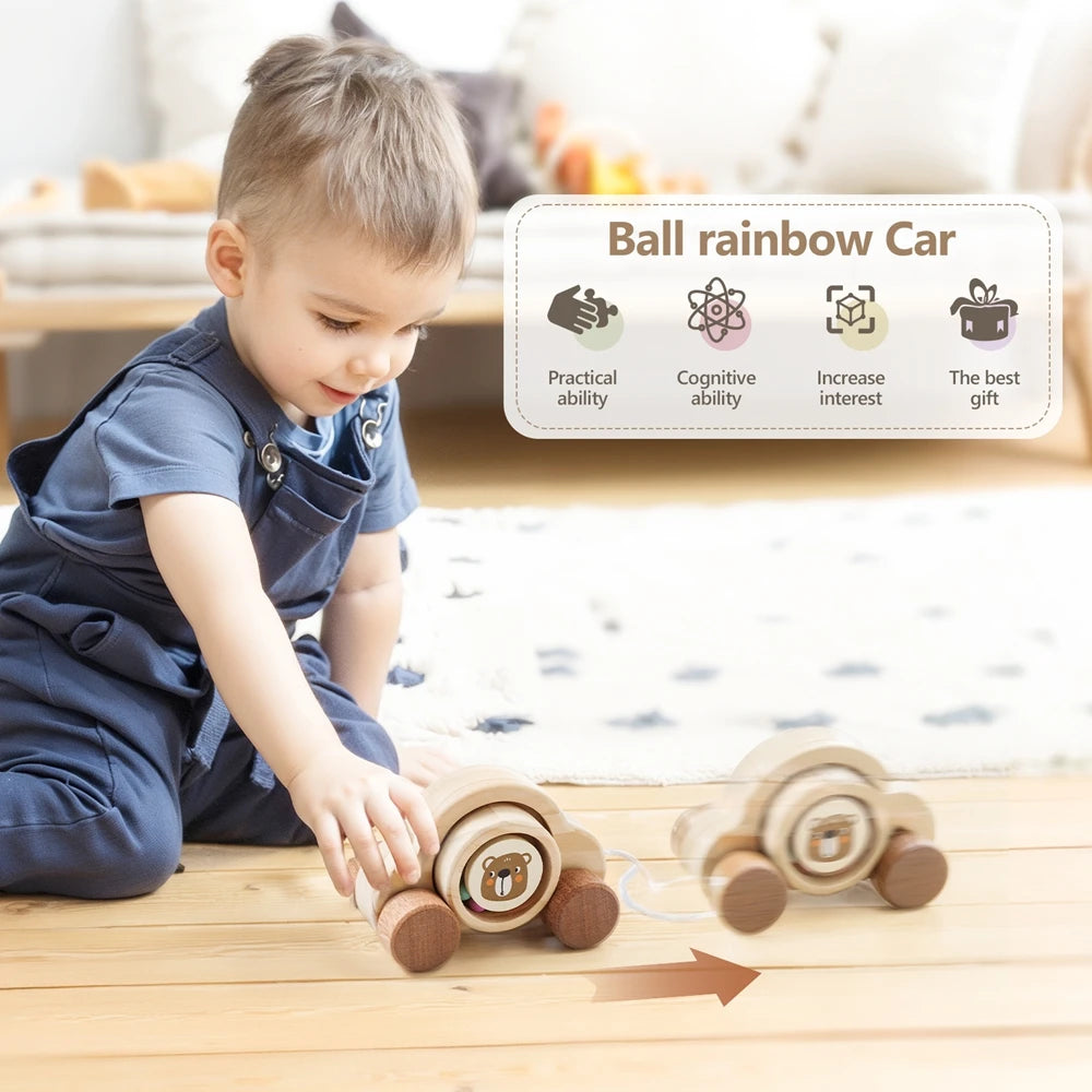 Baby Toy Wooden Car Ball Tug Toys Montessori Educational Cars Toys Small Car Toys Baby Toys 0 to 6 Months Toddler Boy toys Gifts